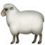 🐑