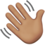 👋🏽