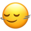 🙂↔️