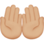 🤲🏼
