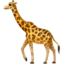 🦒