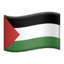 🇵🇸