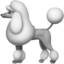 🐩